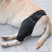 Dog Leg Brace for Post-Surgery Recovery, Anti-Lick Joint Protector for Injuries and Fractures