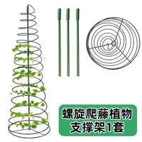 Adjustable Spiral Plant Support Stake for Climbing Vines and Tomatoes