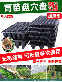 Thickened Seedling Trays for Corn, Watermelon, Pepper, and Vegetable Plants - 100-Pack