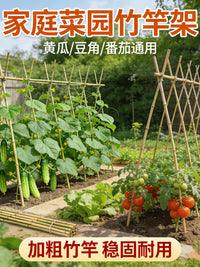 Bamboo Garden Stakes for Climbing Plants, Vegetables, Tomatoes, Cucumbers, Beans, and Fences
