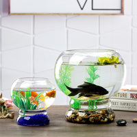 Round Glass Fish Tank for Goldfish and Hydroponics, Micro Landscape Vase, Creative Desktop Aquarium