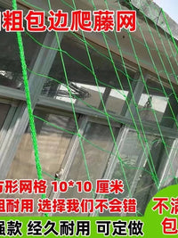 Plant Trellis Netting for Climbing Fruits and Vegetables