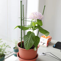 Garden Plant Trellis for Climbing Vines, Luffa, Beans, Cucumbers, Roses, and Potted Plants