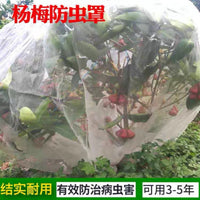 Fruit Tree Protective Net Cover for Bayberry Cherry Peach Succulents - Anti-Insect Wind Bird Netting Greenhouse Canopy