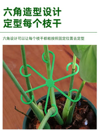 Monstera Plant Support Stakes for Anti-Toppling and Stem Training, 4-Piece Set