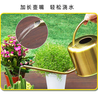 Large Capacity Stainless Steel Watering Can with Long Spout for Garden Plants