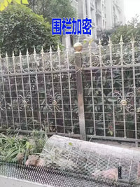 Galvanized Welded Wire Mesh for Poultry Cages, Rabbit Hutches, Pigeon Enclosures, and Fencing