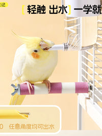 Pet Parrot Bubble Water Dispenser for Birds, Automatic Feeder for Small Parrots and Mynah Birds
