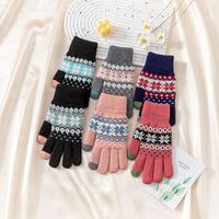 Touchscreen Double-Layer Plush Knit Gloves with Cartoon Bear/Deer Pattern for Women