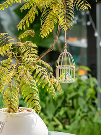 Mini Bird Cage Iron Art Hollow Ornament for Garden Patio Green Plants DIY Hanging Decoration