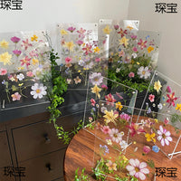Handmade Acrylic DIY Frame with Dried Flowers, Preschool Graduation Plant Specimen Frame for Kids