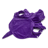 Halloween Dinosaur Pet Costume for Small Dogs and Cats