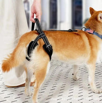 Dog Rear Leg Support Harness for Injured or Disabled Pets