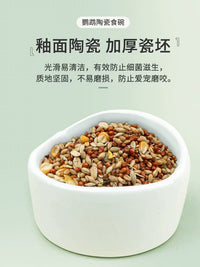 Ceramic Parrot Feeder Bowl for Small Birds, Anti-Splash Food Dish