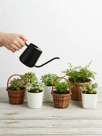 Nordic Style Stainless Steel Watering Can with Wooden Handle, Long Spout, 1000ml