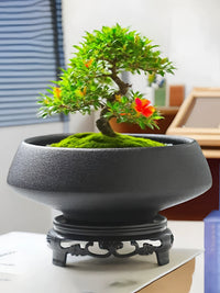 Bergamot Moss Ball Ceramic Planter with Tray, Matte Desktop Hydroponic Pot for Plants