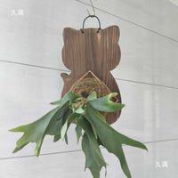 Cartoon Cat Shaped Carbonized Wood Plaque for Staghorn Fern Mounting, Wall Decor Plant Board Kit