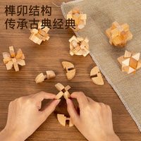 Children's Educational Luban Lock Brain Teaser Puzzle Toy Set