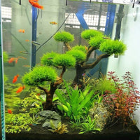 Aquarium Moss Tree Driftwood Decoration for Fish Tank Landscaping