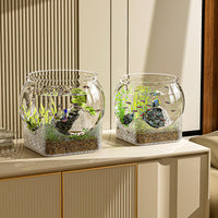 Clear Ecological Micro-Landscape Fish Tank with Base for Betta Fish and Turtles, Shatterproof
