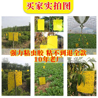 Double-Sided Yellow and Blue Sticky Traps for Thrips, Aphids, Fruit Flies, and Other Flying Insects - Agricultural Greenhouse Pest Control