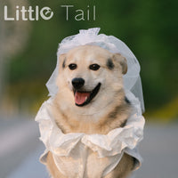 Pet Dog Wedding Dress Cat Princess Skirt Puppy Photography Costume Thin Corgi Clothes