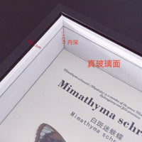 3cm Deep Shadow Box Frame with High-Transparency Glass for Butterfly Insect Specimen Display and DIY Art