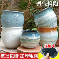 Ceramic Orchid and Succulent Planter Pot, Large Caliber, Elegant Design