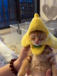 Pet Banana Cat Hat Headwear for Small Cats and Puppies Photo Props