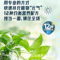 Hydroponic Plant Nutrient Solution for Growth, Rooting, and Flowering - Prevents Yellow Leaves