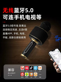 Wireless Bluetooth Karaoke Microphone with Speaker, Sound Card, and Voice Changer for Home Use