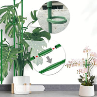 Plant Support Stakes for Climbing Plants, Roses, and Monstera - Indoor Garden Trellis Kit