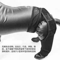 Dog Leg Brace for Injury Recovery - Front/Rear Leg Support for Fractures & ACL