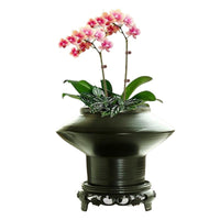 Luxury Ceramic Planter with Saucer for Orchids and Green Plants
