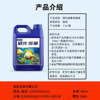 Nitrifying Bacteria Liquid for Aquaculture Pond Water Purification and Ammonia Nitrogen Reduction