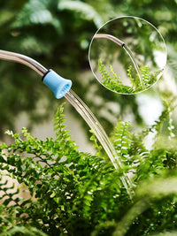 Long Spout Watering Can with Scale, 1.5L Large Capacity for Indoor Outdoor Plants