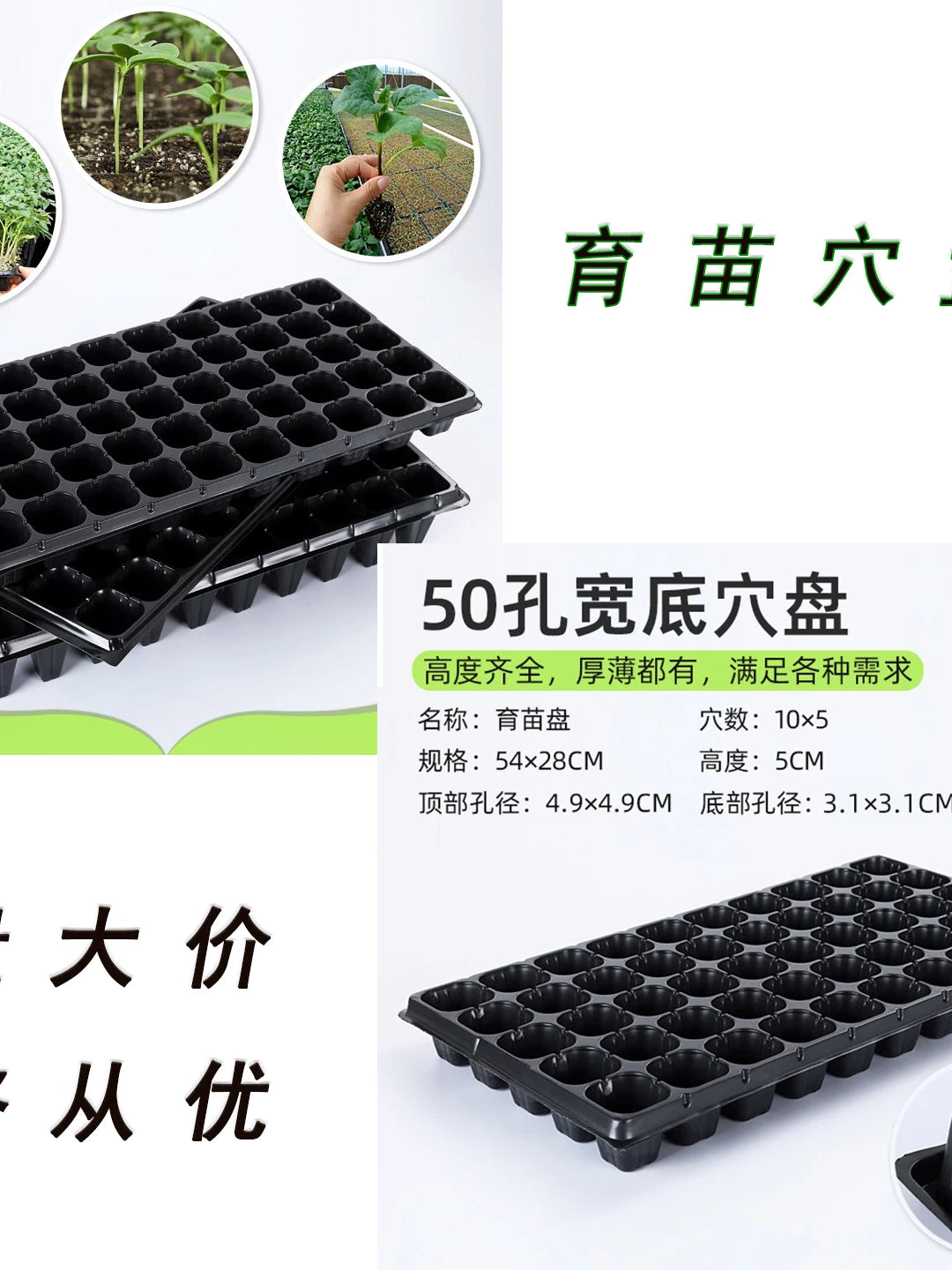 Seedling Starter Trays for Eucalyptus, Succulents, Strawberries, Peppers - Multi-Cell Wide-Bottom Plastic Planting Trays