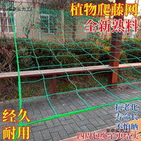 Heavy-Duty Plant Trellis Netting for Climbing Vegetables and Fruits
