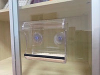 2021 New Creative Transparent Acrylic Bird Feeder Suction Cup Automatic Bird Feeder