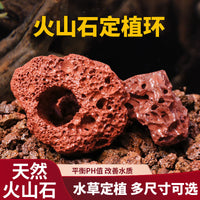 Aquatic Plant Fixing Red Volcanic Stone with Holes for Fish Tank Landscaping Decoration