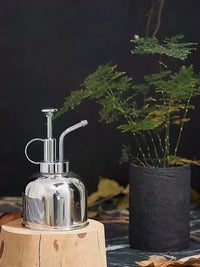 Nordic Style Stainless Steel Watering Can for Indoor Plants & Succulents, Small Vintage Spray Bottle