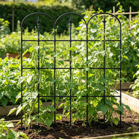 Garden Arch Trellis for Climbing Plants, Cucumber Bean Support, Morning Glory Rose Vine Frame