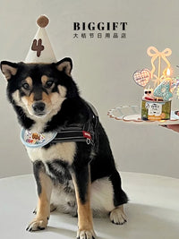 Pet Birthday Party Decoration Set with Felt Hat, Bib, and Cake Topper