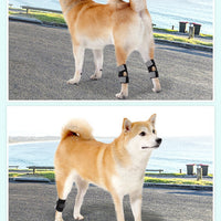 Dog Rear Leg Brace with Adjustable Hook and Loop Fastener for Joint Protection