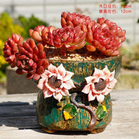 Hand-Painted Ceramic Succulent Planter Pot with Coarse Grains for Multi-Plant Arrangements