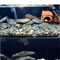 Natural Stone Basking Platform for Turtle Tanks and Reptile Terrariums