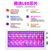 Full Spectrum LED Grow Light for Indoor Plants Seedling Succulents Greenhouse Hydroponics