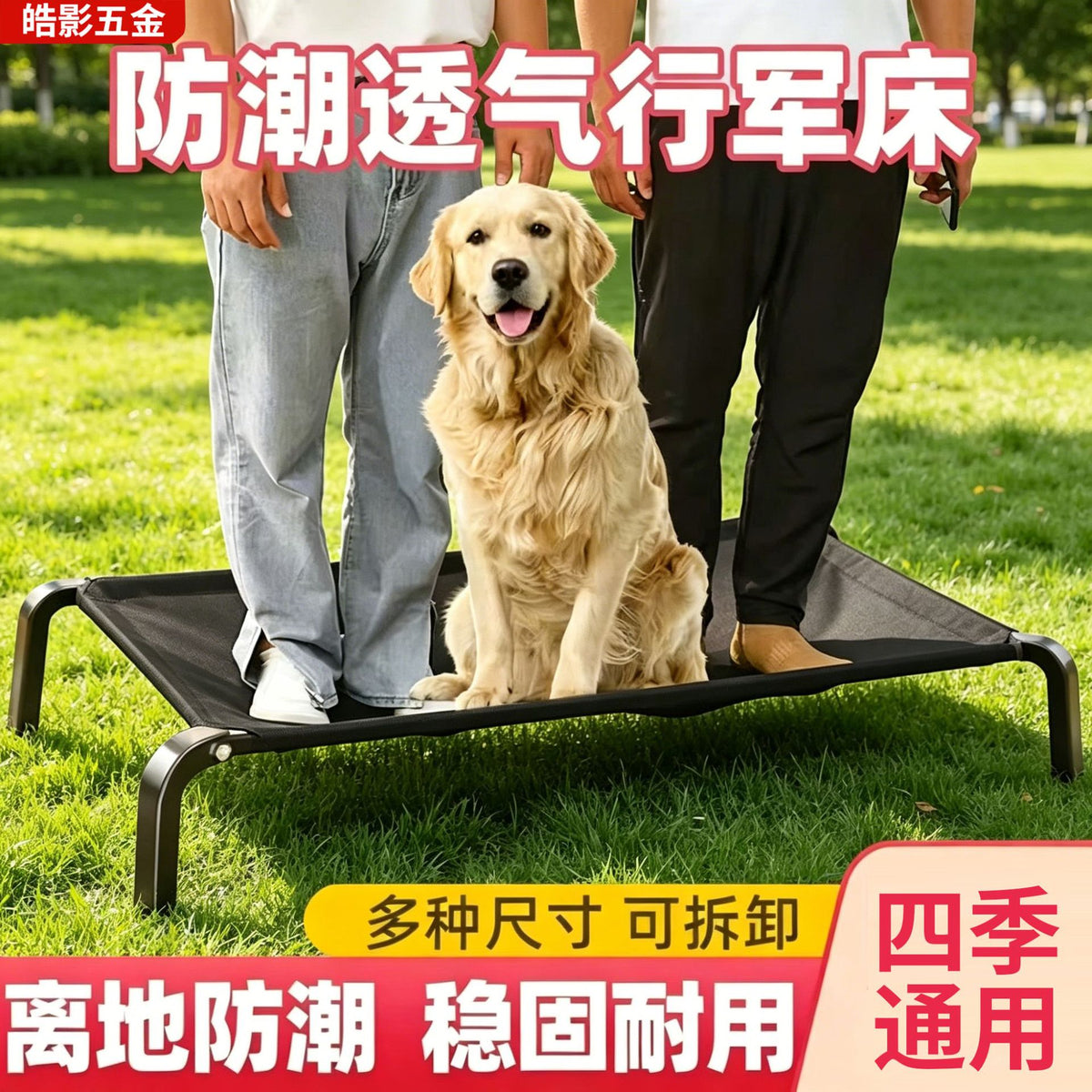 Elevated Dog Bed with Removable Washable Mesh, Heavy-Duty Raised Cot for All-Season Use