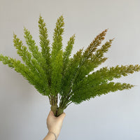 Artificial Foxtail Asparagus Fern Bush for Micro Landscape Decor