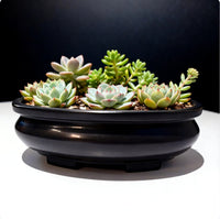 Thickened Tan Plastic Planter Pots for Succulents and Seedlings, Stackable Garden Flower Pots